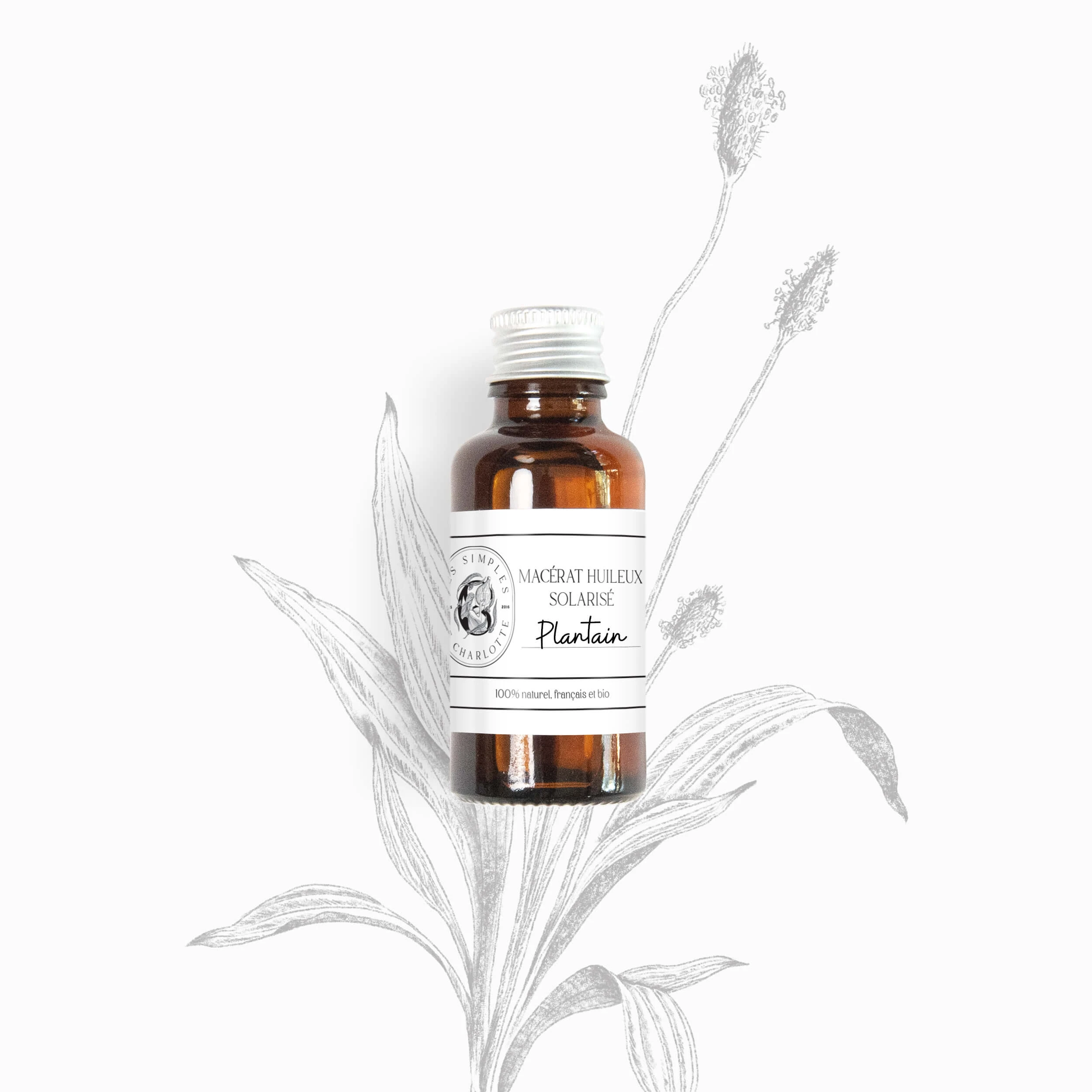 Macérât huileux solarisé de plantain en 30ml des Simples de Charlotte