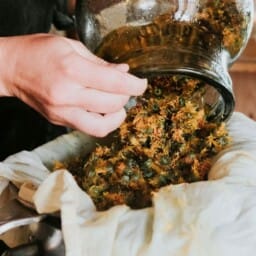 Fabrication de soins naturels aux plantes médicinales dans l’atelier des Simples de Charlotte
