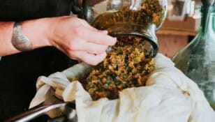Fabrication de soins naturels aux plantes médicinales dans l’atelier des Simples de Charlotte