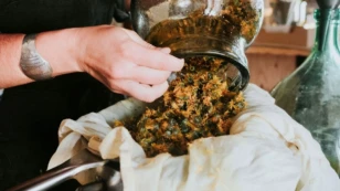 Fabrication de soins naturels aux plantes médicinales dans l’atelier des Simples de Charlotte