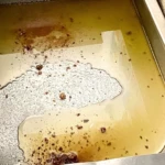 Extraction de l’huile de figuier de Barbarie au Maroc